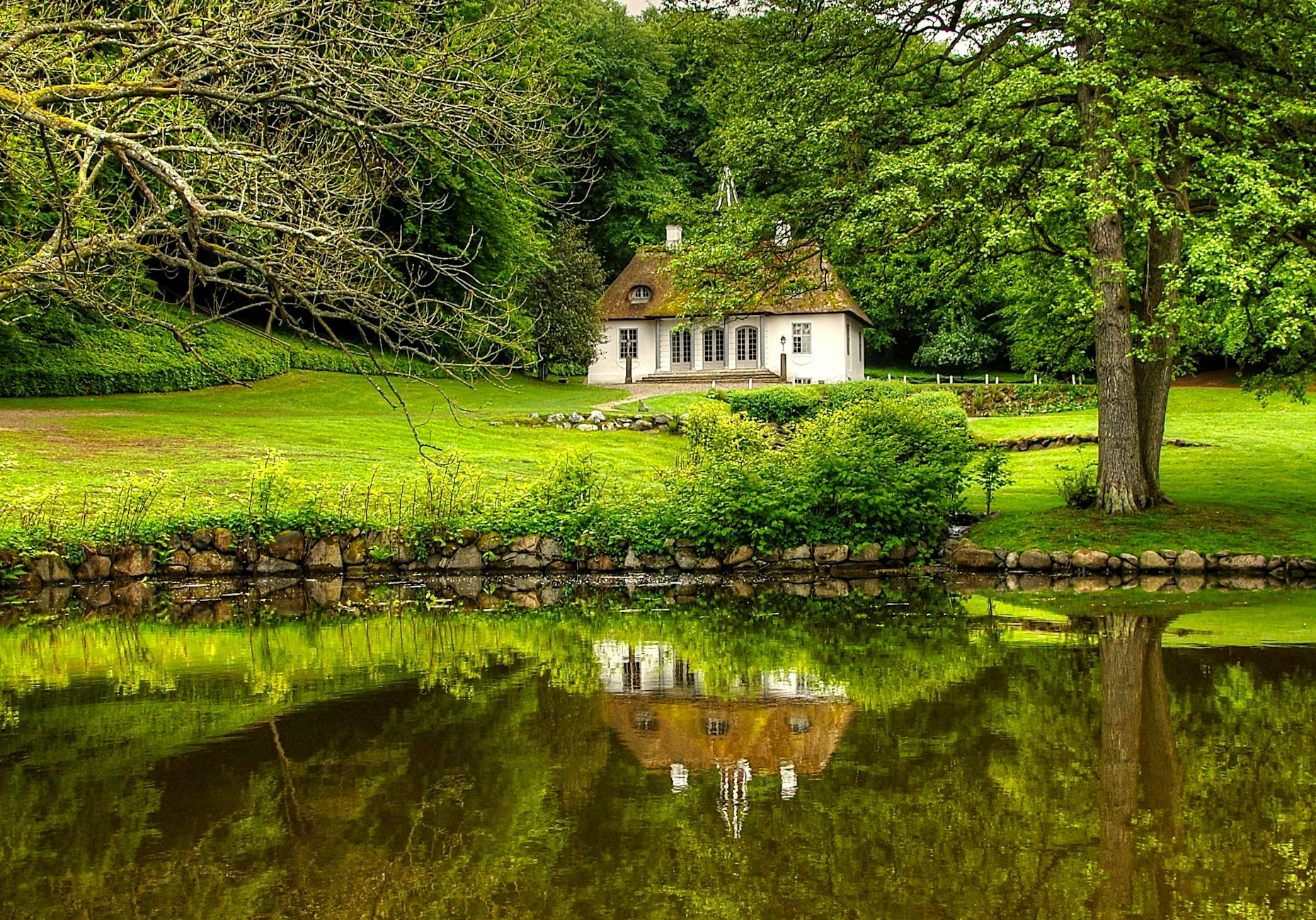white and brown house surrounded by trees
